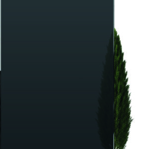VivaView NORDSTRAND Glas-Element Floatglas Dark Grey 90 x 179 cm